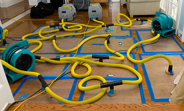 Professional Crawl Space Water Removal technician working in Carmine, TX
